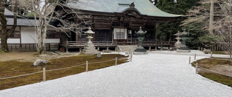 特任助教あるいは特任研究員 (1名)の公募 (締切: 2024年8月29日)