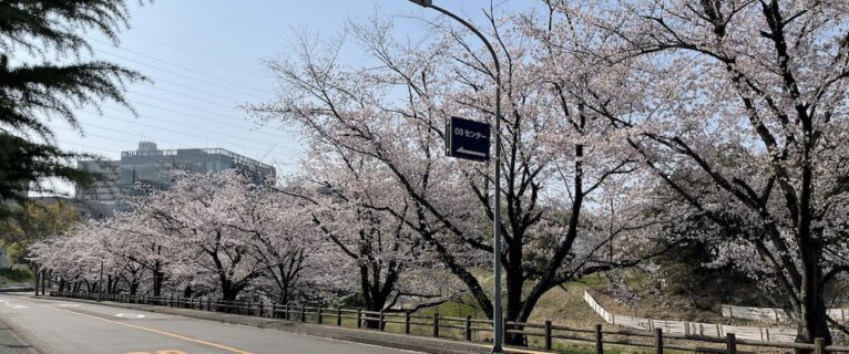 4年生向け研究室紹介2025
