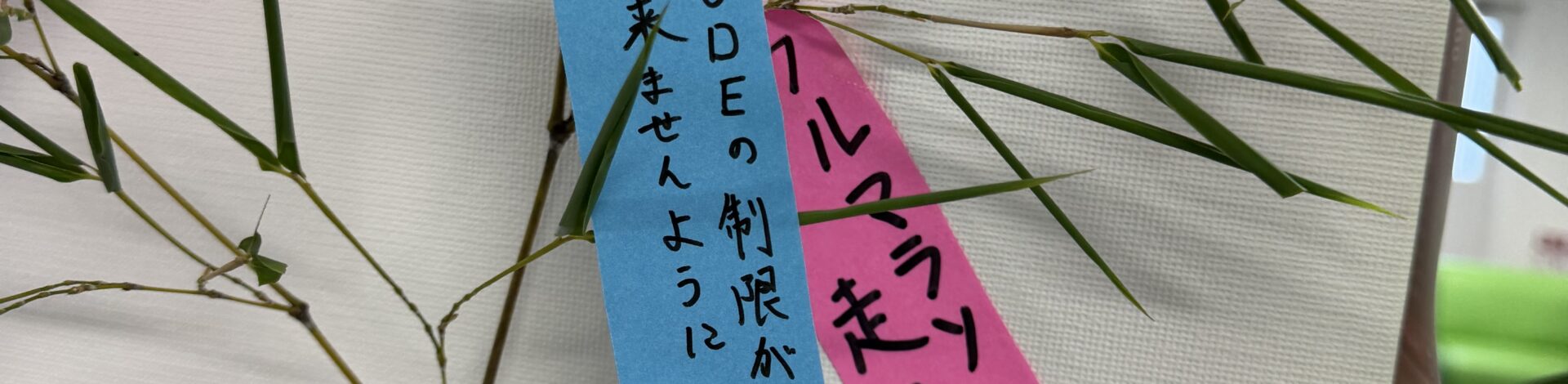 Wish in the Star Festival 2026 in Japan